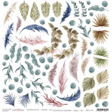 CC-L-14 - LEAVES