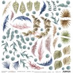 CC-L-14 - LEAVES