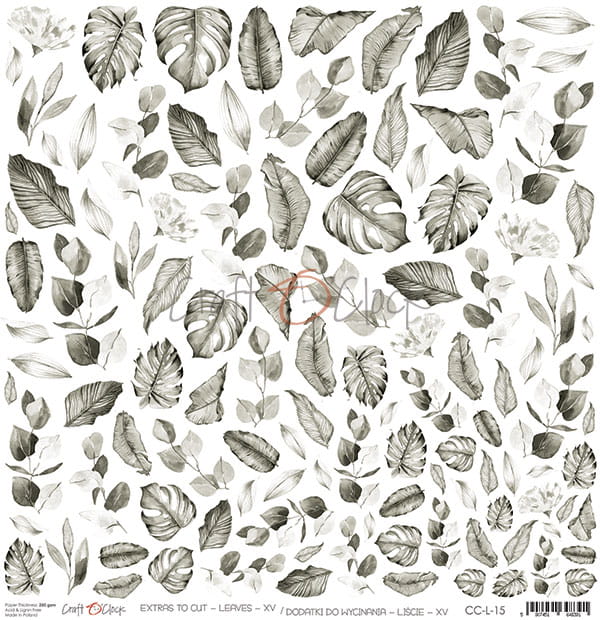 CC-L-15 - LEAVES