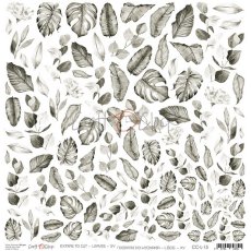 CC-L-15 - LEAVES