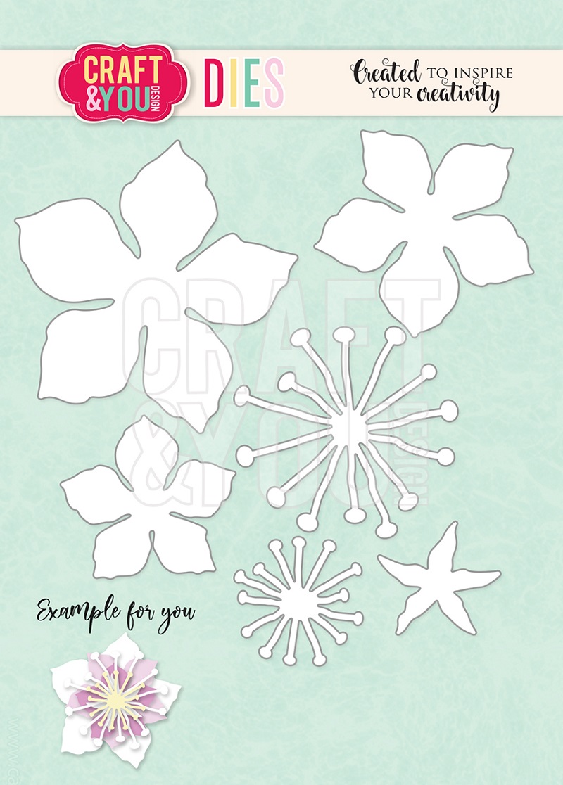 CW123 CUT DIES - cherry blossom - Craft&You Design