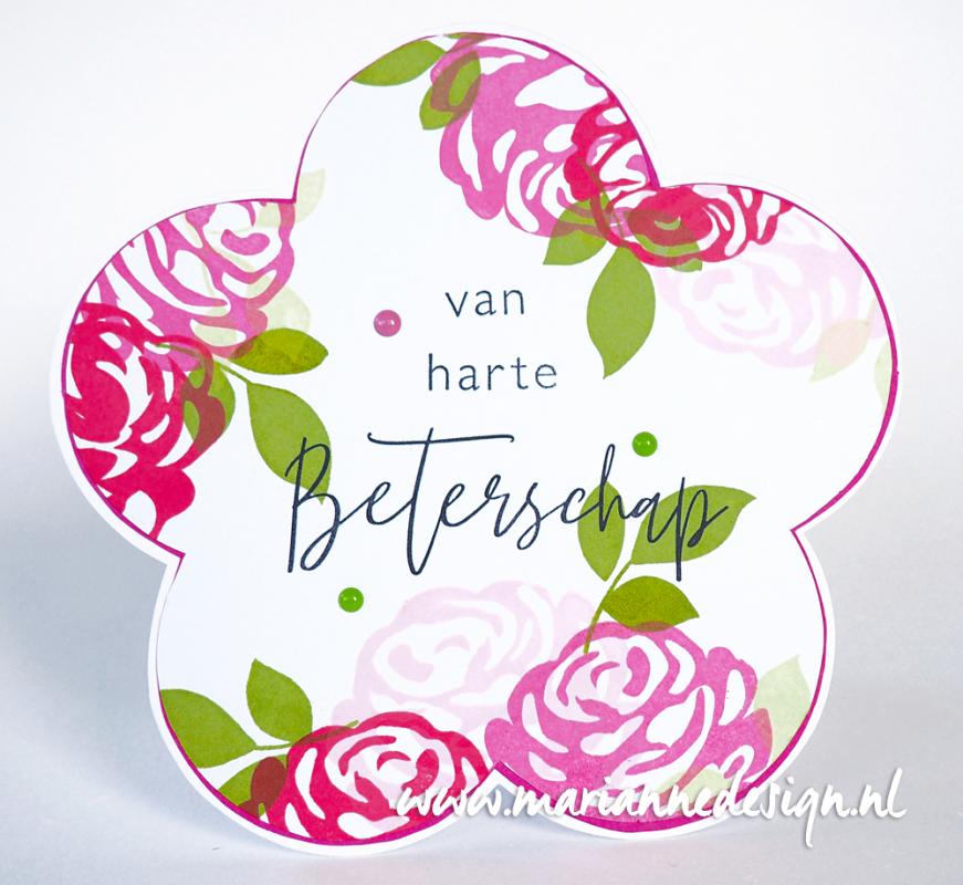 CS1046 Marianne Colorful Silhouettes - Rose