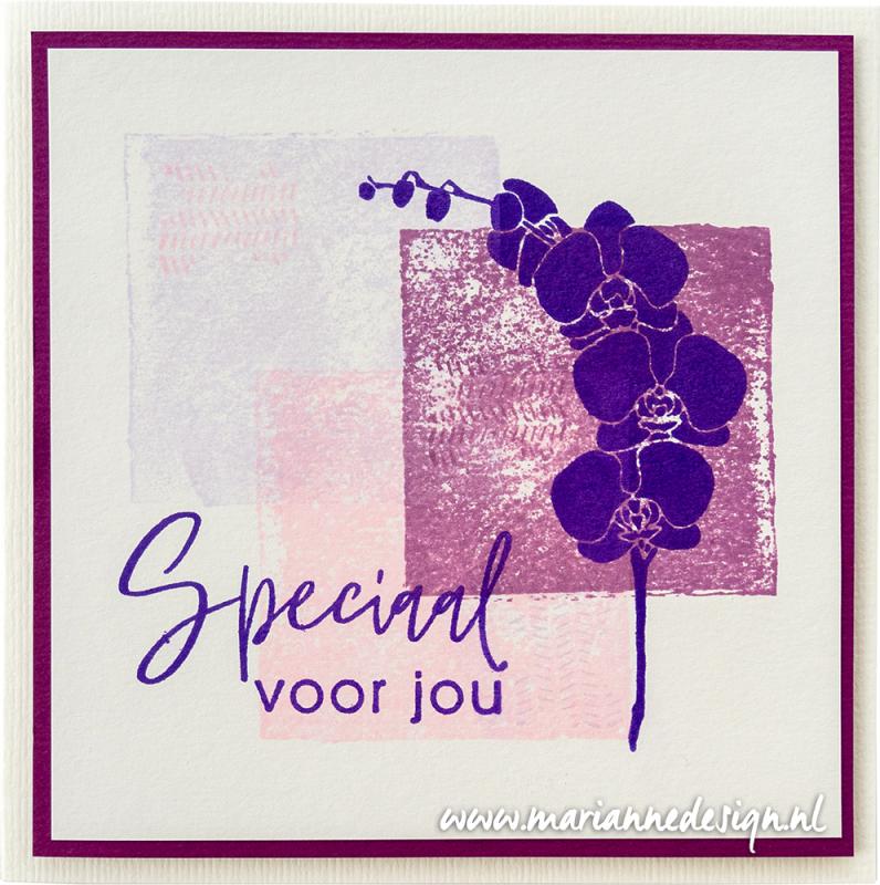 CS1083 Marianne Colorful Silhouettes - FLORAL BEAUTY