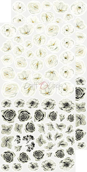 CC-BC-KW-01 BASIC Flowers SET