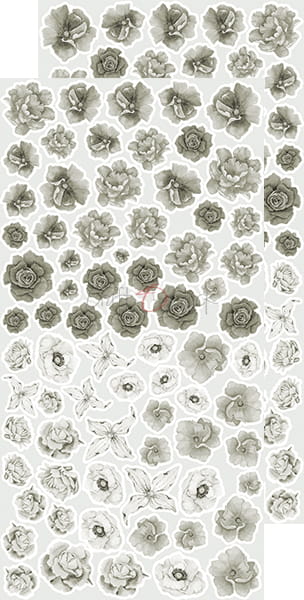 CC-BC-KW-01 BASIC Flowers SET