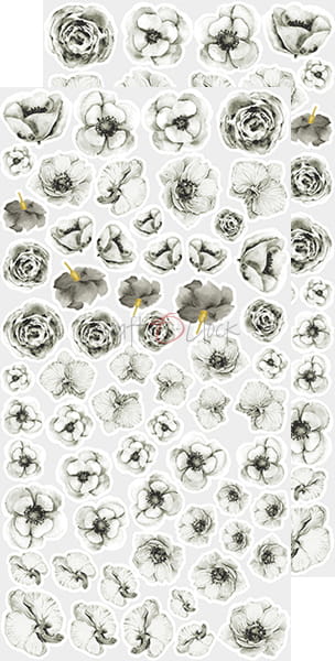 CC-BC-KW-01 BASIC Flowers SET