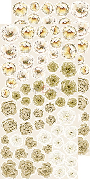 CC-BC-KW-02 BASIC Flowers SET