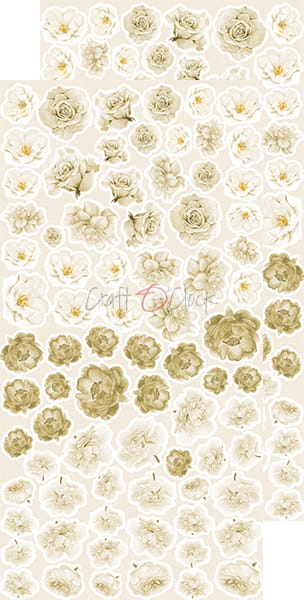 CC-BC-KW-02 BASIC Flowers SET
