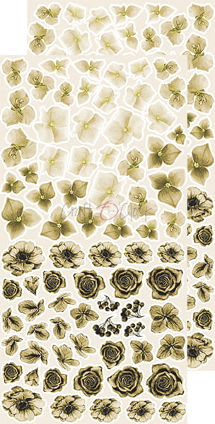 CC-BC-KW-02 BASIC Flowers SET
