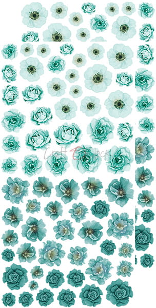 CC-BC-KW-03 BASIC Flowers SET