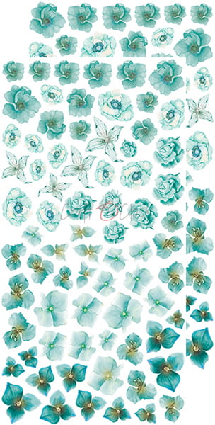 CC-BC-KW-03 BASIC Flowers SET