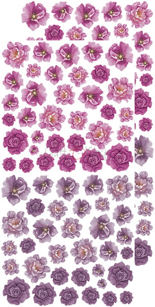 CC-BC-KW-04 BASIC Flowers SET