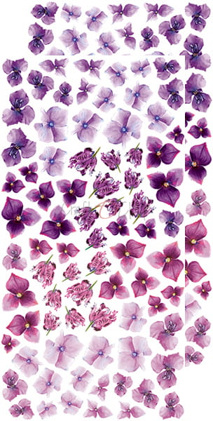 CC-BC-KW-04 BASIC Flowers SET