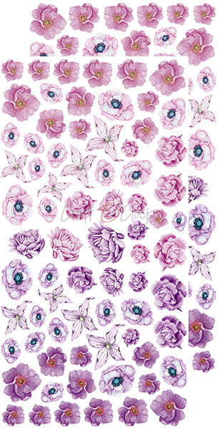 CC-BC-KW-04 BASIC Flowers SET