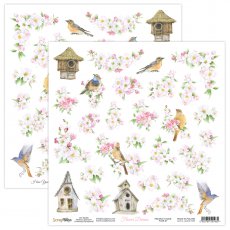FLDR-07  Scrap Boys 30,5x30,5cm - FLOWER DREAMS