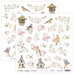 FLDR-07  Scrap Boys 30,5x30,5cm - FLOWER DREAMS