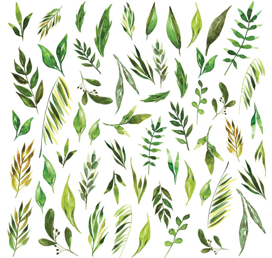 CP-BM08 One-sided paper-elements-Craft & You Design 30.5x30.5 BLOSSOM MEADOW 08