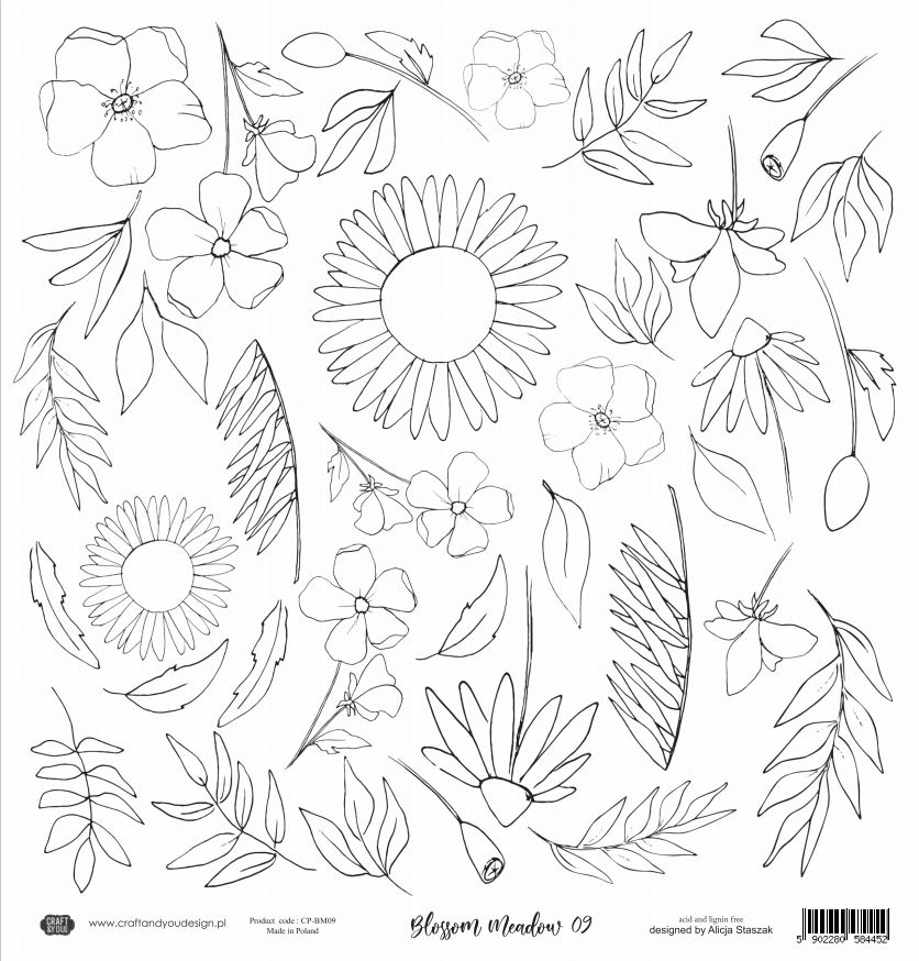 CP-BM09 Watercolor paper-Craft & You Design 30.5x30.5 MORNING MIST 09