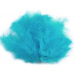150437-13 Feathers 