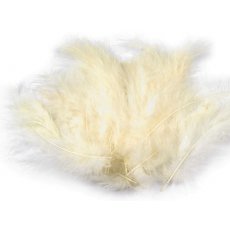150437-14 Feathers 