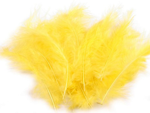 150437-2 Feathers
