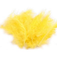 150437-2 Feathers 