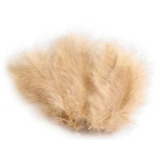 150437-24 Feathers 