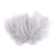150437-26 Feathers 