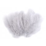 150437-26 Feathers