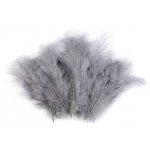 150437-27 Feathers