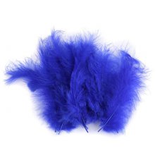 150437-28 Feathers 