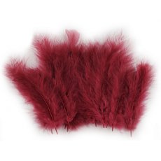 150437-29 Feathers 