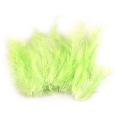 150437-30 Feathers 