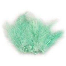 150437-31 Feathers 
