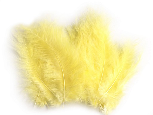 150437-34 Feathers