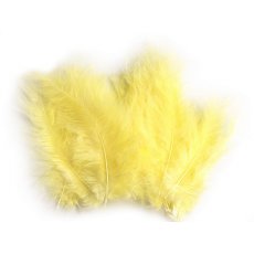 150437-34 Feathers 