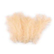 150437-36 Feathers 