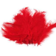 150437-5 Feathers 