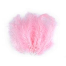 150437-51 Feathers 