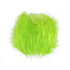 150437-52 Feathers 