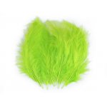 150437-52 Feathers