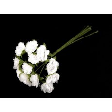 780129-1 flowers -  white