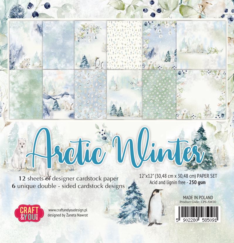 CPS-AW30 Paper set 30.5x30.5cm-Craft&You Design - ARCTIC WINTER