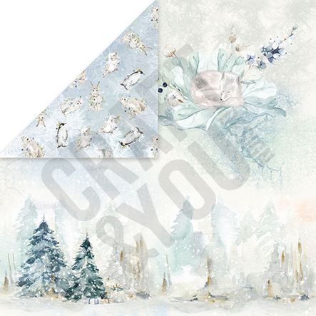 CPS-AW30 Paper set 30.5x30.5cm-Craft&You Design - ARCTIC WINTER