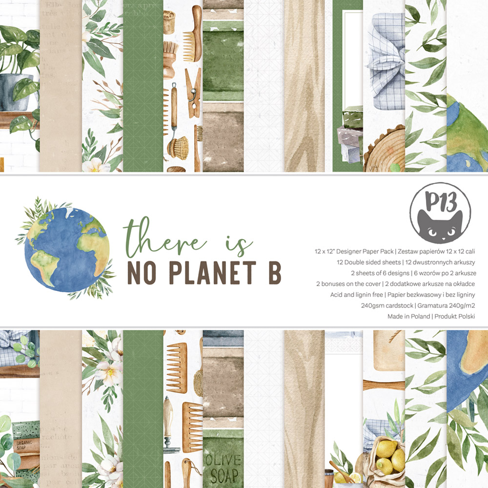 P13-NPB-08 There is no planet B 12x12"