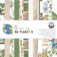 P13-NPB-08 There is no planet B 12x12"