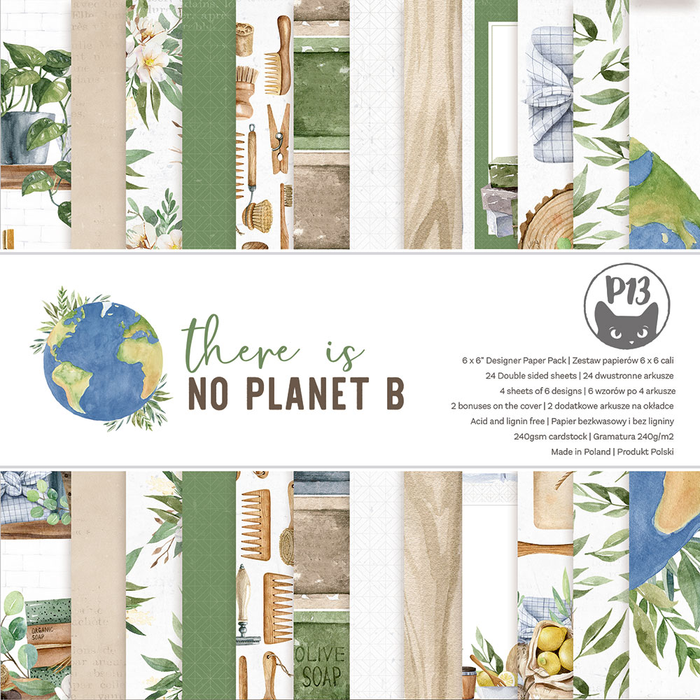 P13-NPB-09 There is noPlanet B