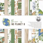 P13-NPB-09 There is noPlanet B