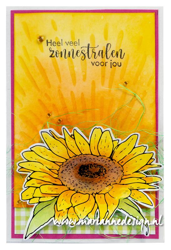 TC0903 TINY'S FLOWERS - SUNFLOWER