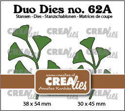 CLDD62A Duo Dies Leaves 62A